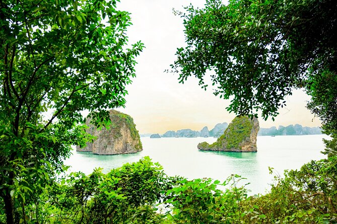 1-Day Bai Tu Long Bay Cruise: Pristine, Fun & Away fr the Crowds - The late-afternoon islet loop: Dragon’s Head to Toad