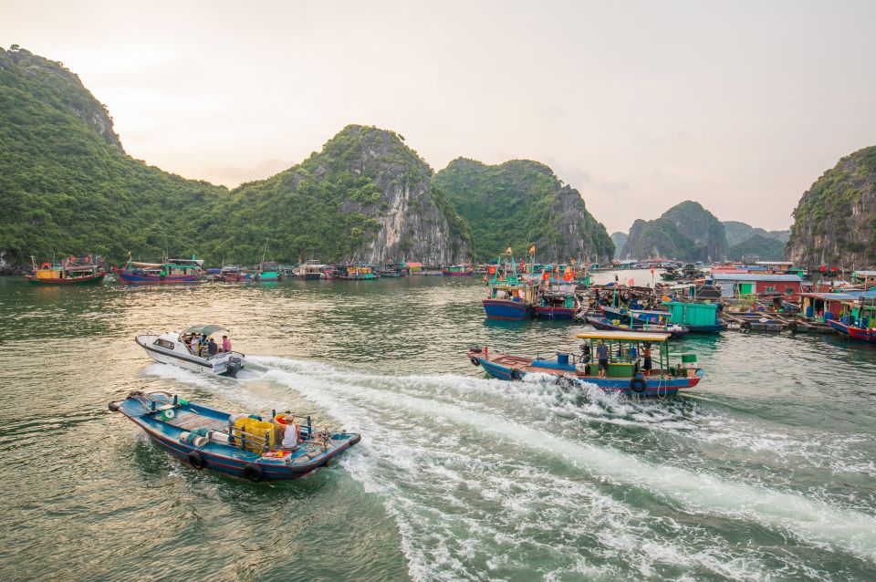 1 Day Ha Noi - Cat Ba island - Lan Ha Bay - Ha Long Bay - Southern Ha Long Bay: Dau Be, Le Virgin arch, and Vung Vieng life