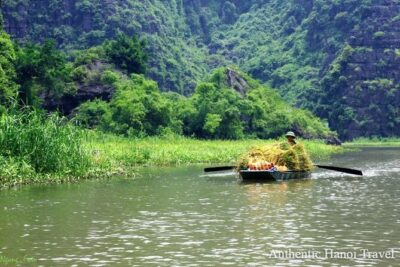 1 Day Luxury Ninh Binh Tour with Many Options From Hanoi - Mua Cave (Dancing Cave): the climb is the point