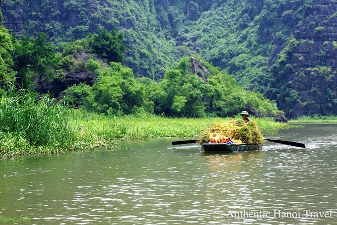 1 Day Luxury Ninh Binh Tour with Many Options From Hanoi - Mua Cave (Dancing Cave): the climb is the point