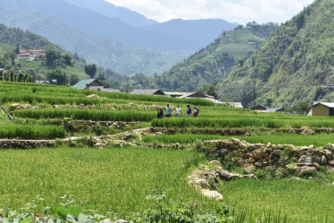 1-Day Private Trekking in Sapa through Terraces Rice Fields - The trail you take matters more than the brochure claims