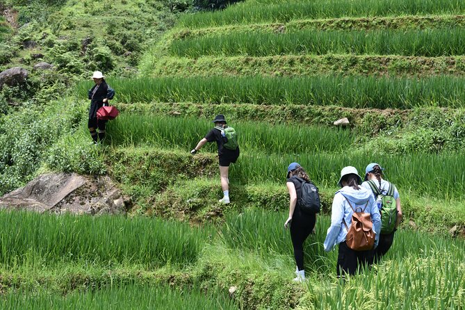 1-Day Private Trekking in Sapa through Terraces Rice Fields - Food, water, and pacing: built for a full 6 to 7 hour day