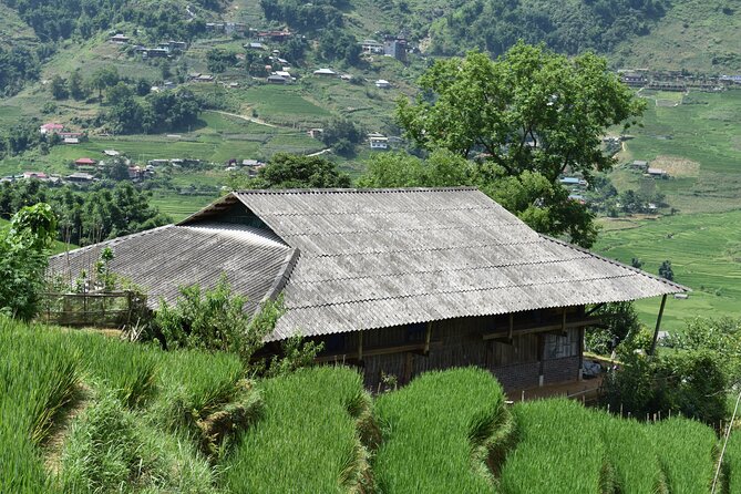 1-Day Private Trekking in Sapa through Terraces Rice Fields - Final call: should you book this Sapa Nomad private trek?
