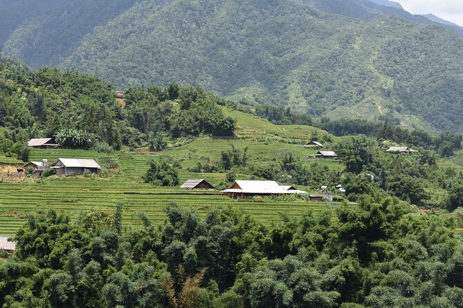 1-Day Private Trekking in Sapa through Terraces Rice Fields - Lao Chai Trail: rice fields that feel like they stretch forever