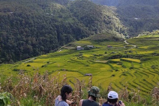 1 Day Sapa Authentic Trekking ( off beaten track ) - Lunch in the middle: local restaurant, real break, fewer hassles