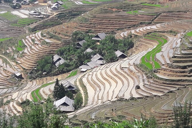 1 Day Sapa Authentic Trekking ( off beaten track ) - From rice to corn and limestone: the late-day countryside feel