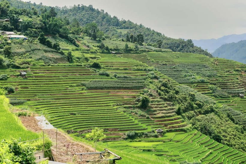 1-Day Sapa Long Trek - Rice Field Terrace, Ethnic Culture - Guides Make This Tour: What the Best Day Feels Like