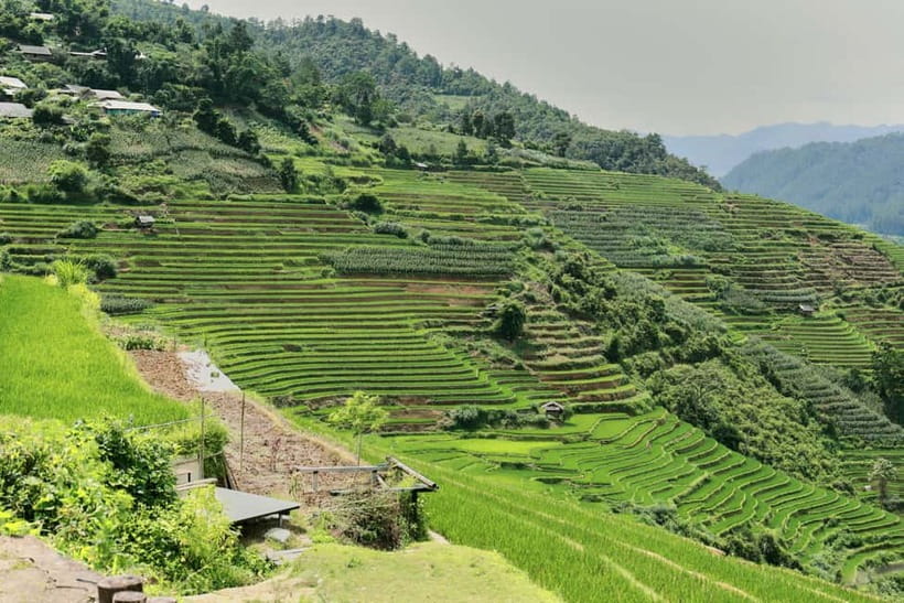 1-Day Sapa Long Trek - Rice Field Terrace, Ethnic Culture - Learning Craft in the Afternoon: Clothing, Natural Dyes, and Incense Making