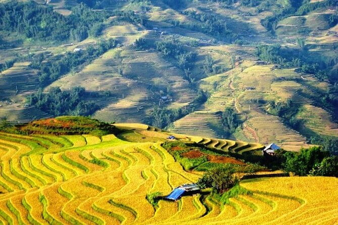 1 Day Sapa Tour Explore Y Linh Ho And Lao Chai And Ta Van Village - Who this tour fits best (and who might want a different plan)