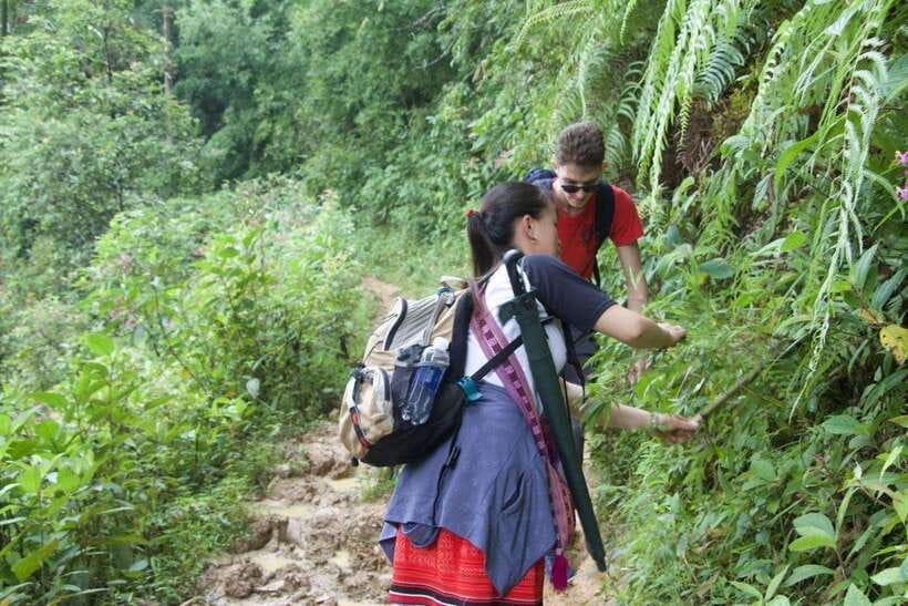 1 Day Sapa Trek&Home-cooked Lunch HmongSisterHouse&Trekking - Guides Matter: The Difference Between a Walk and a Story