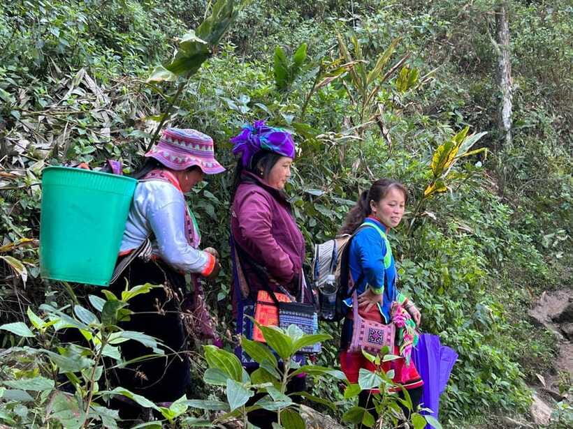 1 Day Sapa Trek&Home-cooked Lunch HmongSisterHouse&Trekking - Who Should Book This Trek With Zizi Homestay?