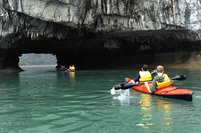 1 Day Tour to Halong Bay Cruise from 3 - 5 star Cruise & Transfer - Hang Luon Cave: the optional kayaking/bamboo boat moment that changes the day