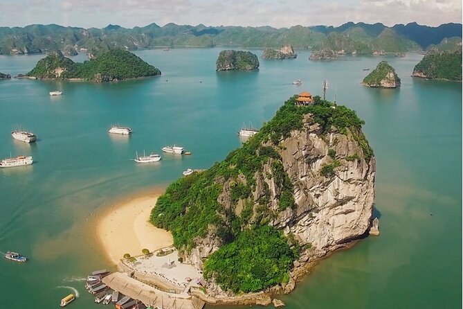 1 Day Tour to Halong Bay Cruise from 3 - 5 star Cruise & Transfer - Lunch on Tuan Chau: seafood, Vietnamese basics, and vegetarian on request