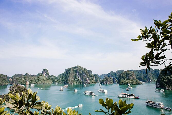 12 Days Vietnam Tour Package - Over the Hai Van Pass to Hoi An: Marble Mountains and a Soft Landing (Day 7)