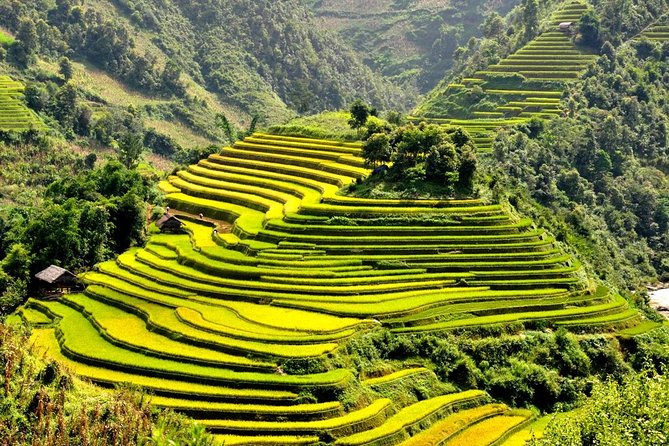 15-Day Majestic Vietnam FULL Package - 68% OFF + Bonuses - Hue Imperial City and Thien Mu Pagoda: A Royal-Feel Day