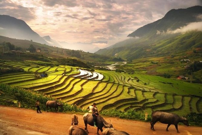 15-Day Majestic Vietnam FULL Package - 68% OFF + Bonuses - Ho Chi Minh City, Mekong Delta, and Cu Chi: Big Contrasts in a Few Days