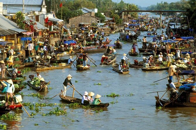 15-Day Tour to Explore Vietnam - Sapa treks: terraced rice views plus Cat Cat and Sin Chai villages