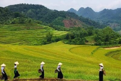 15-Day Vietnam Itinerary All in One | Travel Package 2026-2027 - Hanoi arrival: where your trip starts without friction
