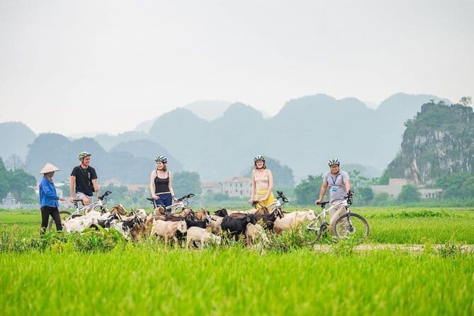 17-Day Vietnam Tour | Explore the Best Highlights of Vietnam - Pu Luong Nature Reserve: homestay mornings and a real trek