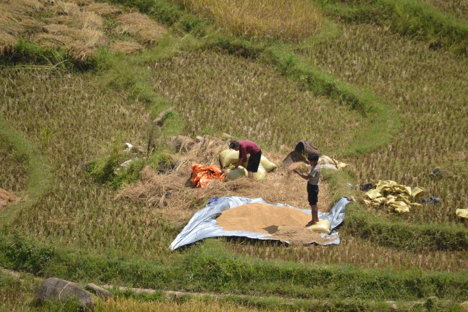 2 Day-2 Night Sapa Trekking: Overnight Train &Limousine Bus - Why this Sa Pa route works: night train + limousine return