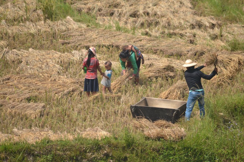 2 Day-2 Night Sapa Trekking: Overnight Train &Limousine Bus - Day 2: free morning for local life, plus optional Fansipan