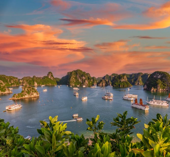 2-Day Ha Noi - Ninh Binh - Ha Long Bay Highlights Tour - Titop Island swim and trek: beach time plus photos