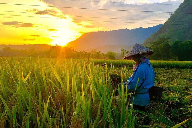 2-Day Mai Chau Valley Tour from Hanoi - Cycling Through the Highlands (Without the Chaos)