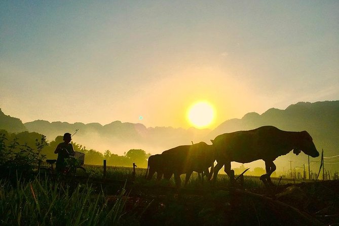 2-Day Mai Chau Valley Tour from Hanoi - Meals, Rice Wine, and the Dance Performance You Shouldn’t Skip
