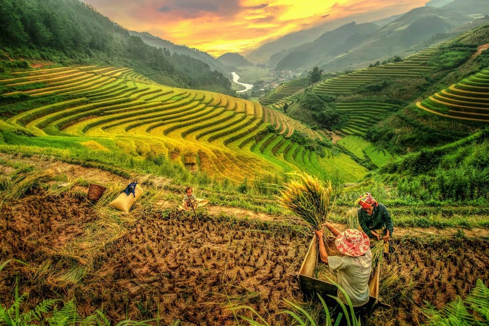 2-Day Sapa Tour - Overnight in Ta Van Village (All in One) - Day 2: bamboo forest paths, photos in the rice paddies, and Giang Ta Chai