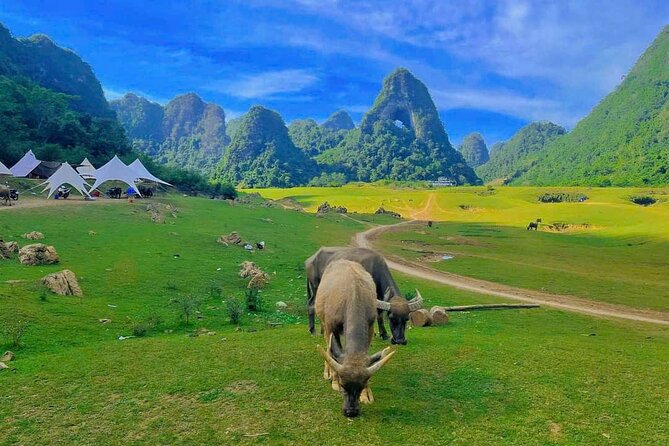 2 Day Tour in Ban Gioc Waterfalls from Hanoi - Overnight in a private room: homestay or bungalow comfort