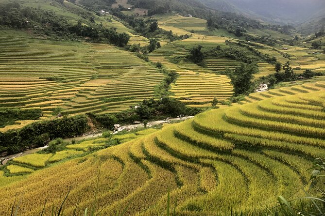 2 Day Trekking Experience: Explore with knowledgeable local guide - Why this Sapa trek feels different from a bus-and-photos day