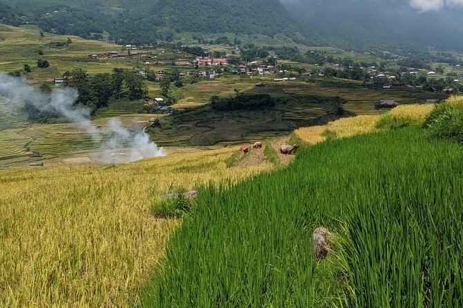 2 Day Trekking Experience: Explore with knowledgeable local guide - Price check: is $65 good value for two days in Sapa?