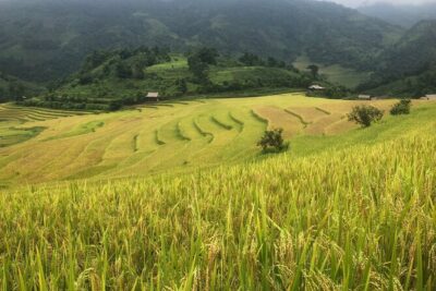 2 Day Trekking Experience: Explore with knowledgeable local guide - Day 1 in Muong Hoa Valley: the 16km stretch you’ll feel (in a good way)