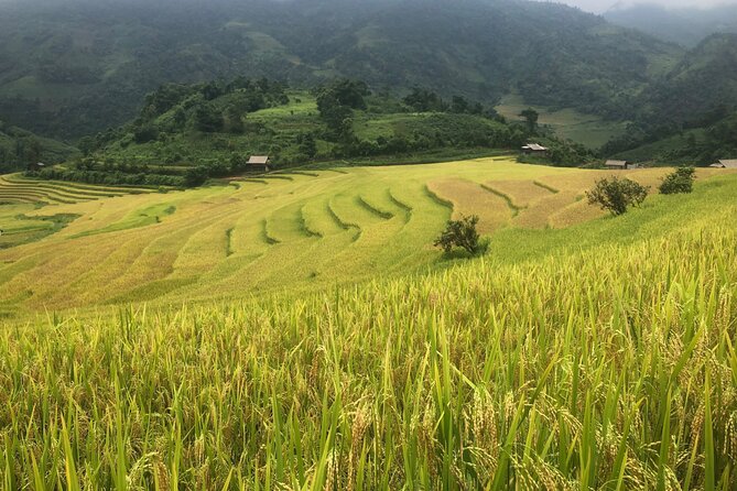 2 Day Trekking Experience: Explore with knowledgeable local guide - Day 1 in Muong Hoa Valley: the 16km stretch you’ll feel (in a good way)