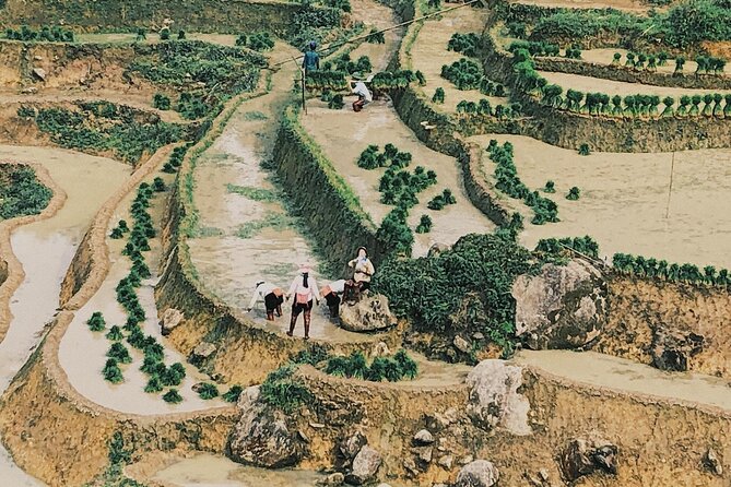 2-Day Trekking in Sa Pa from Ha Noi by sleeping bus - Ta Van homestay: where the trip becomes human