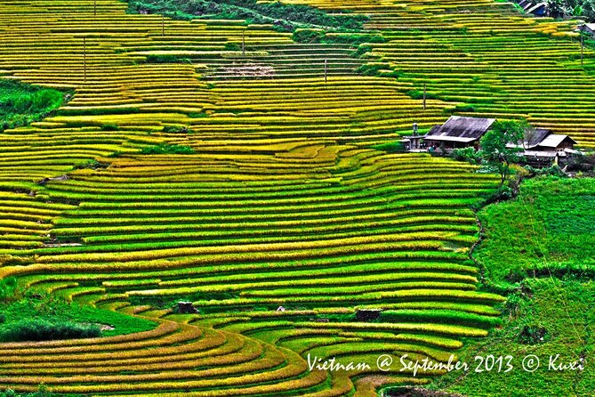 2 days authentic trekking tour in Sapa ( Homestay - Less touristy ) - Weather, fog, and timing: when Sapa is misty and when it’s clearer