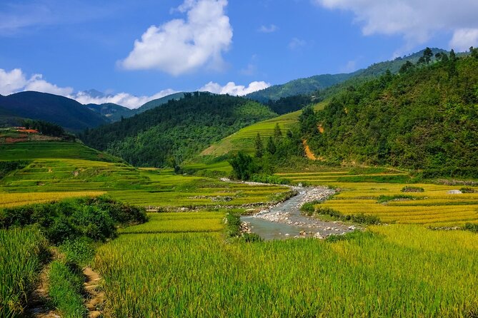 2 days authentic trekking tour in Sapa ( Homestay - Less touristy ) - Your day-by-day walk: Ta Phin to Ngũ Chỉ Sơn and onward