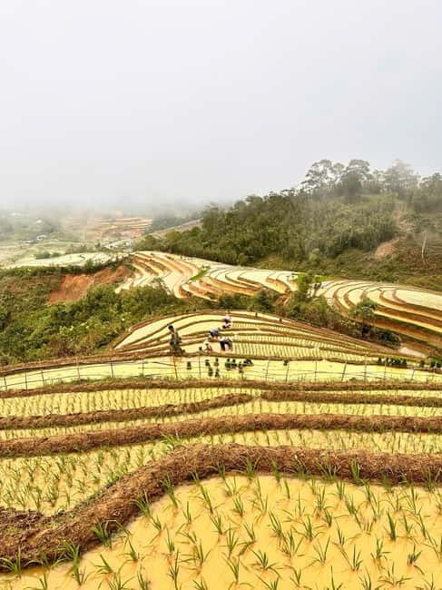 2 DAYS Explore SA PA'S Village through Scenic walking Trails - Day 1: Y Linh Ho views, Lao Chai lunch, then Ta Van homestay life