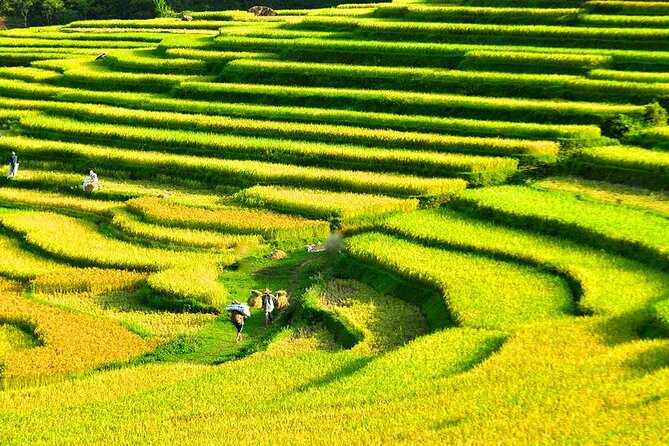 2 Days Pu Luong Offbeat Trekking Best for Mountain Lovers - The 2km loop on rice fields and village paths