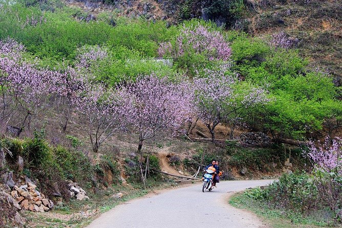 2 Days Sapa Trekking In Cat Cat And Ta Van Village From Hanoi - Y Linh Ho and the Muong Hoa valley trek: the 9 km day that makes it feel worth it