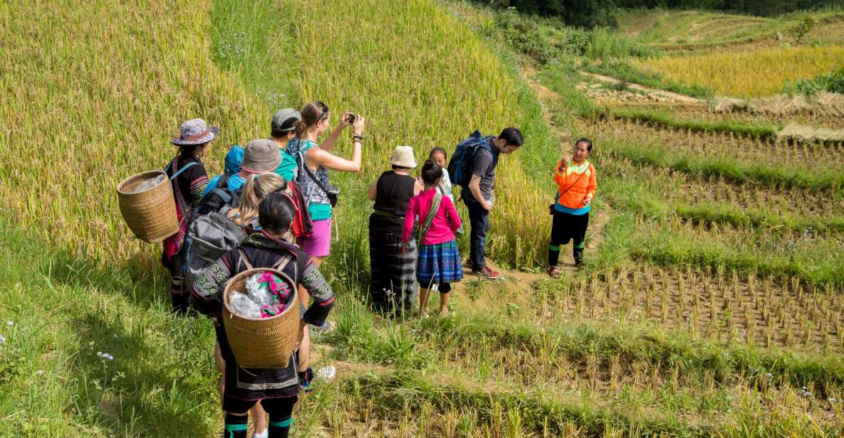 2 Night Lao Chai-Ta Van Homestay- Trekking & Fansipan Visit - Optional Fansipan Peak: Cable Car When Legs Want a Break