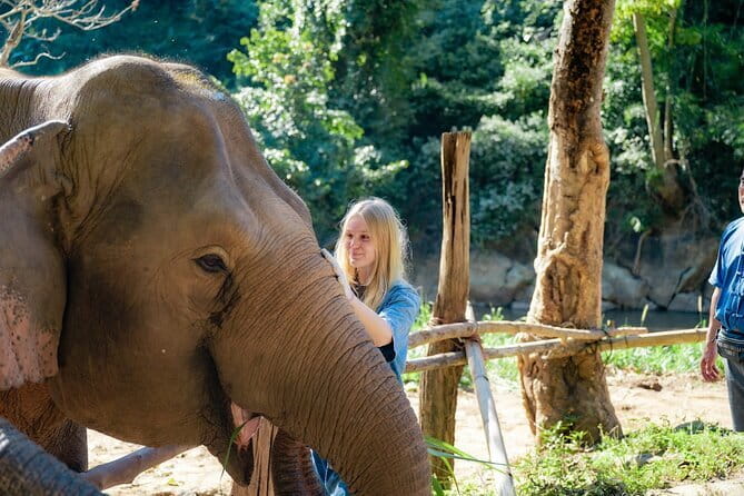 20-Day Package Through Southeast Asia - Days 7–8: Siem Reap and Angkor at full strength