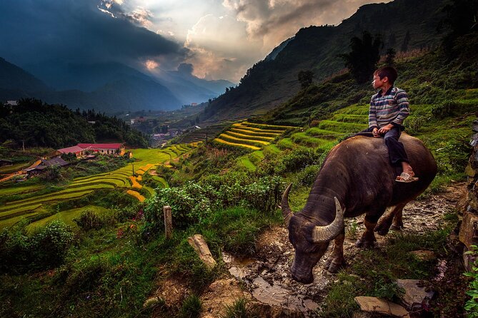 2D1N Buffalo trek by Hmong Sister House and Trekking - Two Days in Sapa: Hmong Buffalo-Home Trekking, the Real Way