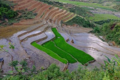 2D1N Buffalo trek by Hmong Sister House and Trekking - Pickup, Zizi Homestay, and Starting With a Comfortable Base