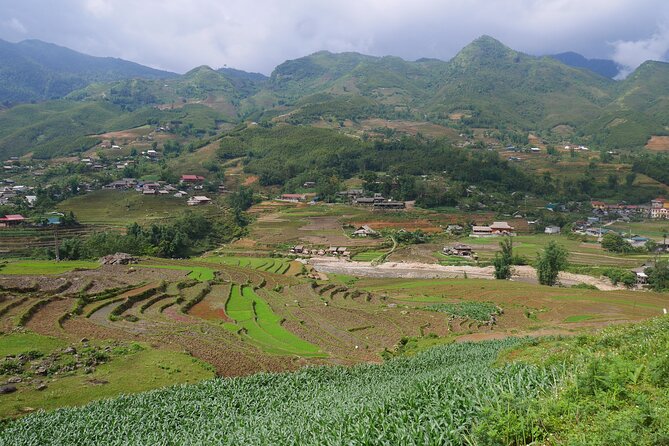 2D1N Buffalo trek by Hmong Sister House and Trekking - The Overnight: Sleeping in an Authentic Family Hmong House