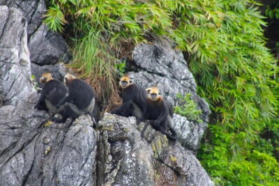 3-Day Discover the most stunning Cat Ba Island - Lan Ha Bay - Day 1: From Hanoi to Ben Beo Pier, then into Lan Ha Bay