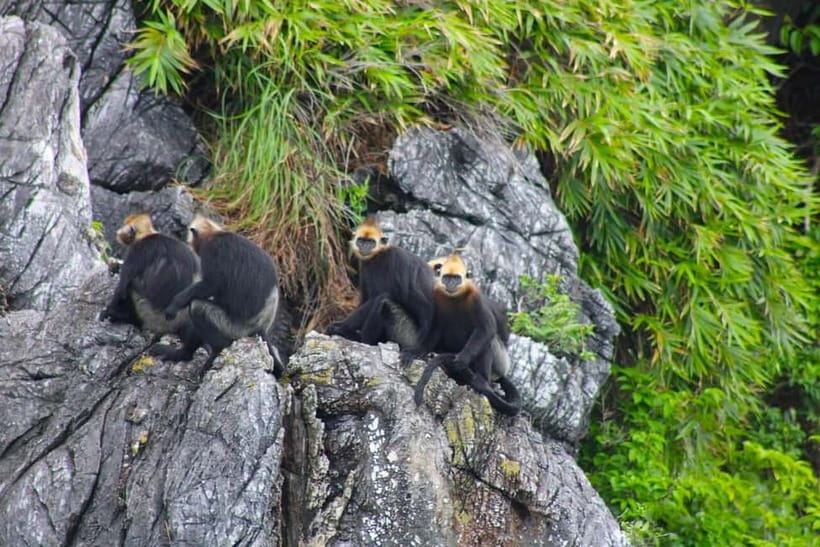3-Day Discover the most stunning Cat Ba Island - Lan Ha Bay - Day 1: From Hanoi to Ben Beo Pier, then into Lan Ha Bay