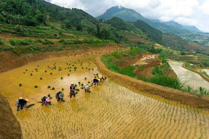 3-Day Pu Luong Natural Reserve from Hanoi, Trek with Local Guide - Day 1: Hieu Village stroll, Don Village terraces, and a Thai homestay night