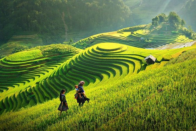 3-Day Sapa Real Valley View Homestay & Fansipan–Roof of Indochina - Day 2: breakfast in the village, then the Fansipan big push
