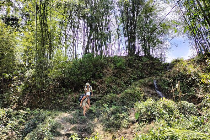 3-Day Trek in Amazing Muong Hoa Valley & ethnic Homestay - Day 1: From Sapa to Lao Chai via Y Li (Hmong Country Walk)